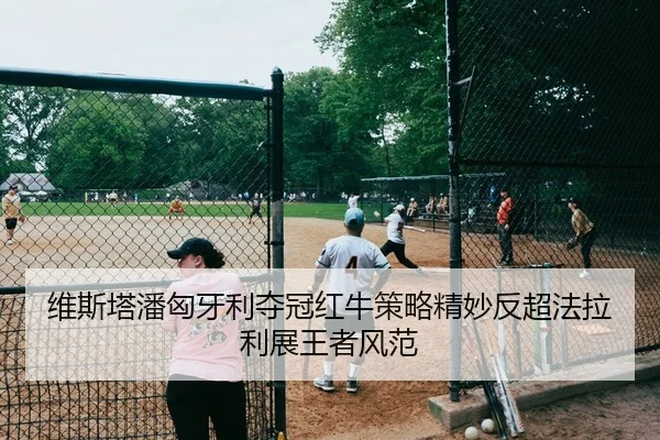 维斯塔潘匈牙利夺冠红牛策略精妙反超法拉利展王者风范